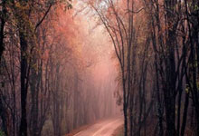 开云官网-EDG险胜NS，Faker开启传奇时刻小组赛3:2