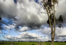 开云官方app入口-EDG险胜KT，Oner团战一打五入围赛3:1