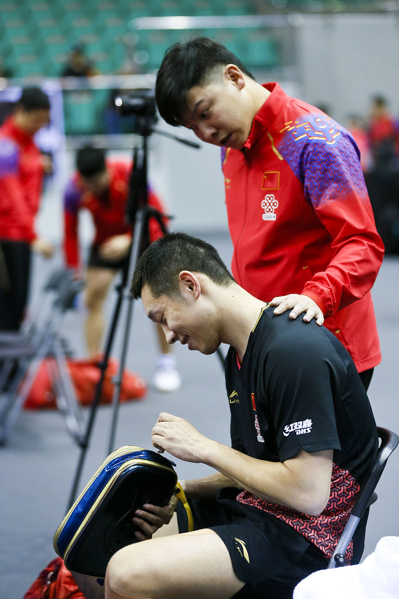 包含德国乒乓球队轻取瑞典乒乓球队，许昕高光表现的词条